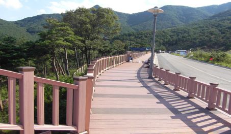 Pink WPC Railing Project in Korea
